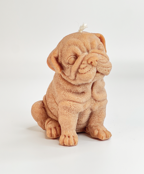 Vela de Perrito Bulldog Inglés Mediana