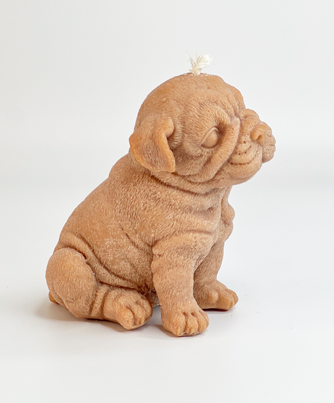 Vela de Perrito Bulldog Inglés Mediana