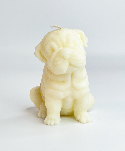 Vela de Perrito Bulldog Inglés Mediana