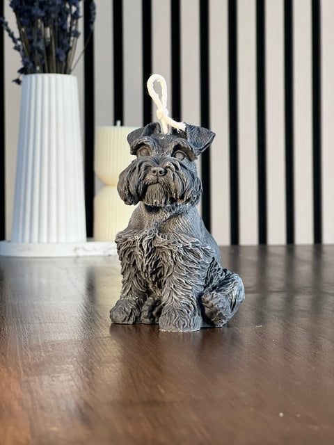 Vela perrito Schnauzer Mediana