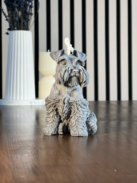 Vela perrito Schnauzer Mediana