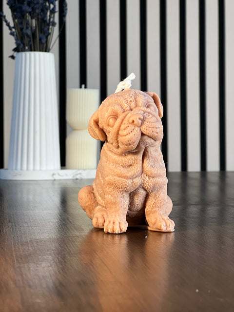 Vela de Perrito Bulldog Inglés Mediana